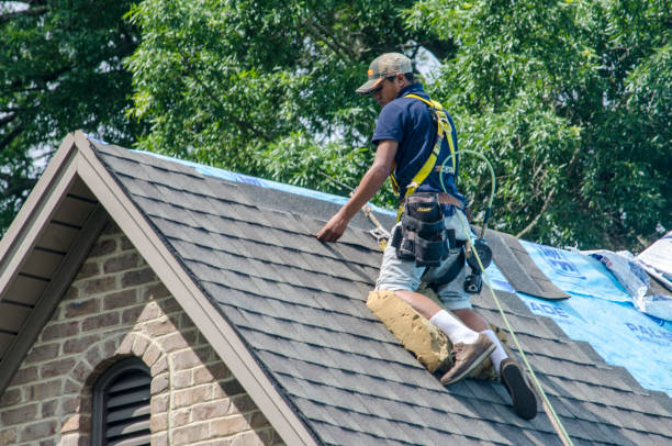 Quick and Trustworthy Emergency Roof Repair Services in Lauderhill, FL
